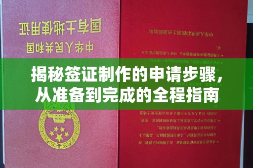 南华揭秘签证制作的申请步骤，从准备到完成的全程指南